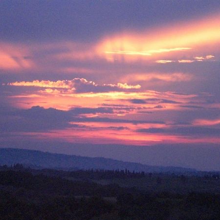 Agriturismo Il Girasole سان جيمينيانو المظهر الخارجي الصورة