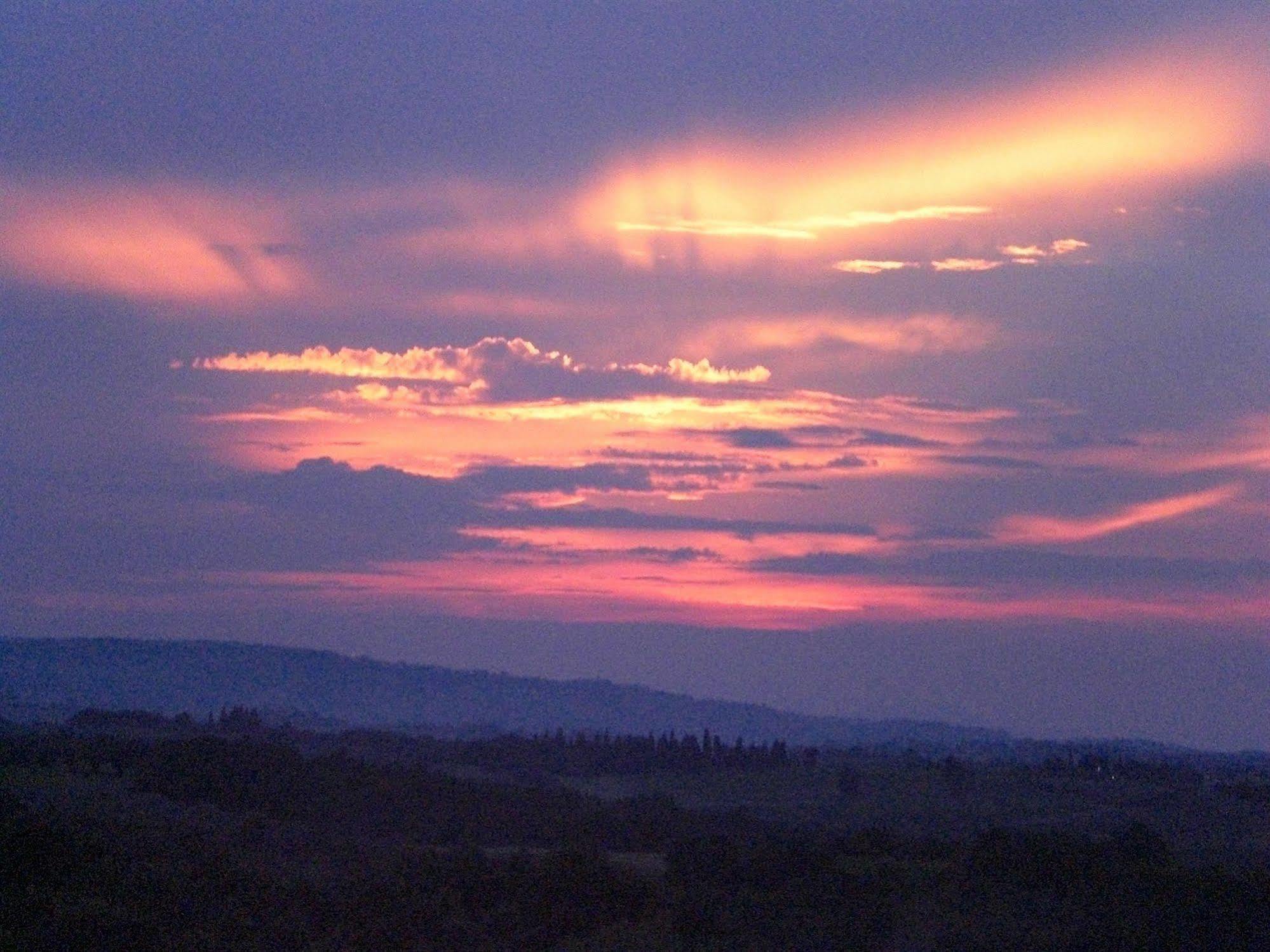 Agriturismo Il Girasole سان جيمينيانو المظهر الخارجي الصورة